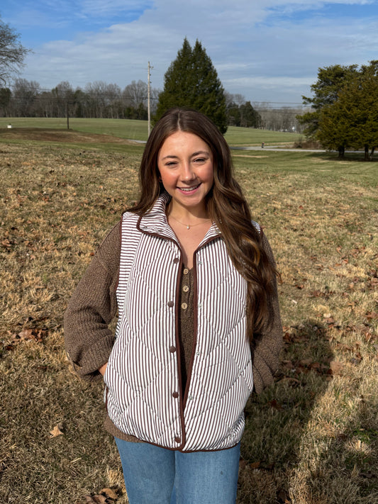 Brown Stripe Vest